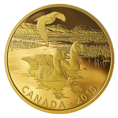 2019 Canadian $30 Golden Reflections - Predator and Prey: Snowy Owl and Greater White-fronted Geese - 2 oz Fine Silver Gold-plated Coin