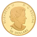 2019 Canadian $30 Golden Reflections - Predator and Prey: Snowy Owl and Greater White-fronted Geese - 2 oz Fine Silver Gold-plated Coin