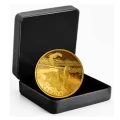 2019 Canadian $30 Golden Reflections - Predator and Prey: Snowy Owl and Greater White-fronted Geese - 2 oz Fine Silver Gold-plated Coin