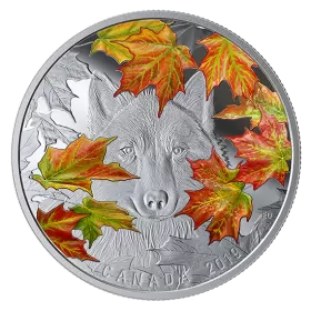 2019 Canadian $30 Wily Wolf - 2 oz Fine Silver Coloured Coin
