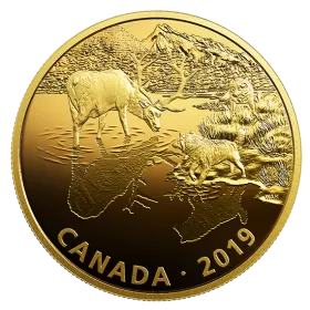 2019 Canadian $30 Golden Reflections - Predator and Prey: Wolves and Elk - 2 oz Fine Silver Gold-plated Coin