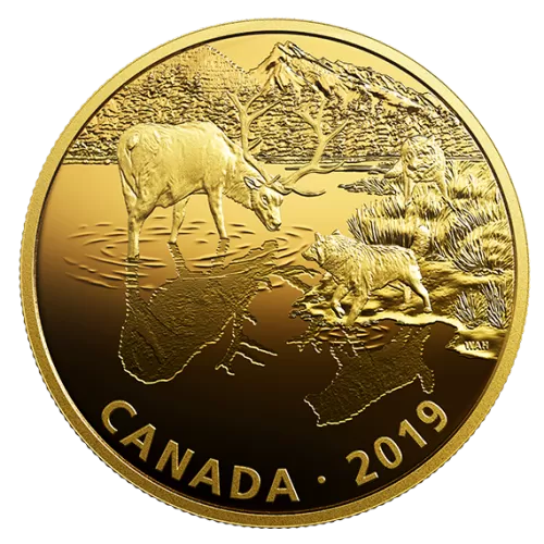 2019 Canadian $30 Golden Reflections - Predator and Prey: Wolves and Elk - 2 oz Fine Silver Gold-plated Coin