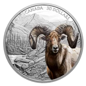 2020 Canadian $30 Imposing Icons Series: Bighorn Sheep - 2 oz Fine Silver Coloured Coin