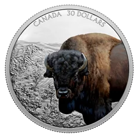 2021 Canadian $30 Imposing Icons Series: Bison - 2 oz Fine Silver Coloured Coin