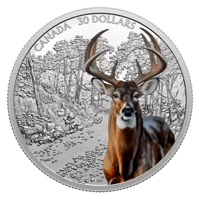 2021 Canadian $30 Imposing Icons Series: White-Tailed Deer - 2 oz Fine Silver Coloured Coin