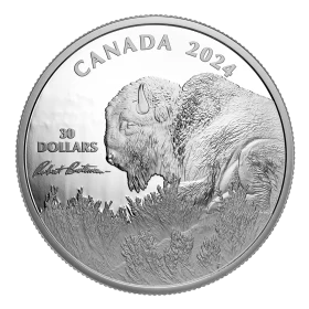 2024 Canadian $30 Weather Watch: Bison, by Robert Bateman - 2 oz Fine Silver Coin