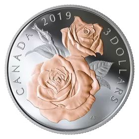 2019 Canadian $3 Queen Elizabeth Rose Blossoms - Fine Silver & Gold-plated Coin