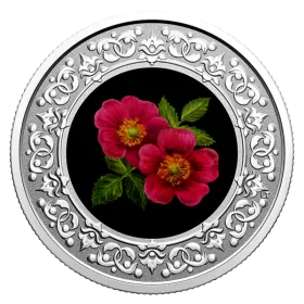 2021 Canadian $3 Floral Emblems of Canada: Alberta, Wild Rose - Fine Silver Coloured Coin