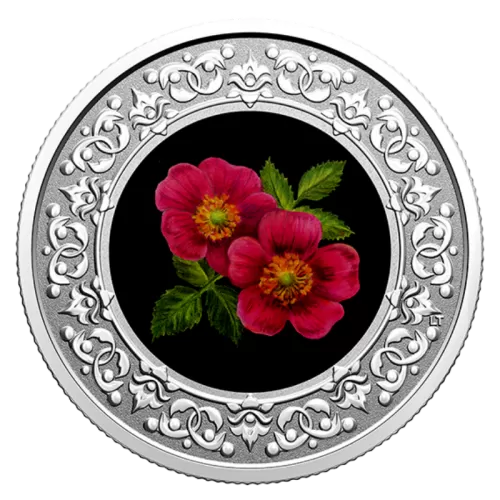 2021 Canadian $3 Floral Emblems of Canada: Alberta, Wild Rose - Fine Silver Coloured Coin