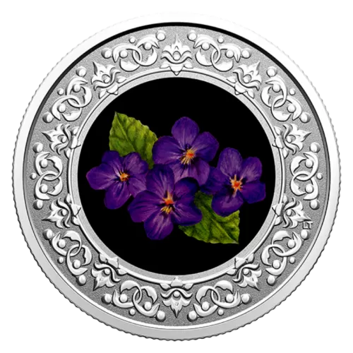 2020 Canadian $3 Floral Emblems of Canada: New Brunswick, Purple Violet - Fine Silver Coloured Coin