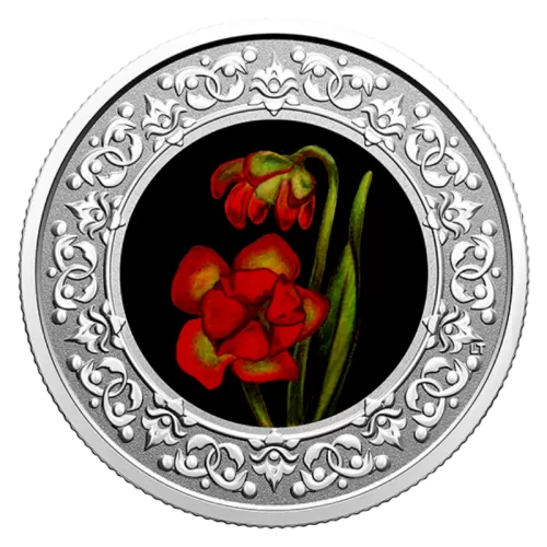 2021 Canadian $3 Floral Emblems of Canada: Newfoundland and Labrador, Pitcher Plant - Fine Silver Coloured Coin