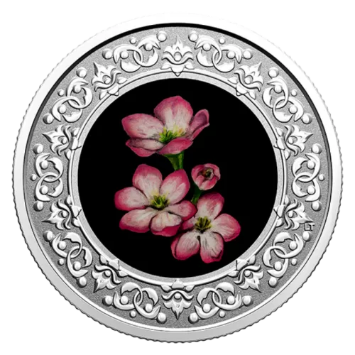 2020 Canadian $3 Floral Emblems of Canada: Nova Scotia, Mayflower - Fine Silver Coloured Coin