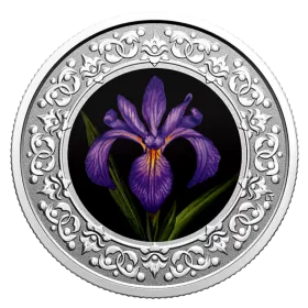 2020 Canadian $3 Floral Emblems of Canada: Quebec, Blue Flag Iris - Fine Silver Coloured Coin