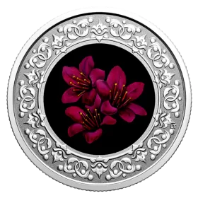2021 Canadian $3 Floral Emblems of Canada: Nunavut, Purple Saxifrage - Fine Silver Coloured Coin