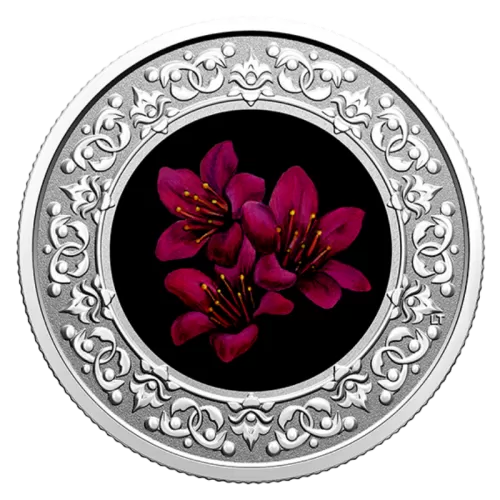2021 Canadian $3 Floral Emblems of Canada: Nunavut, Purple Saxifrage - Fine Silver Coloured Coin