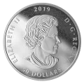 2019 Canadian $50 Symbolic Canada - 5 oz Fine Silver Coin