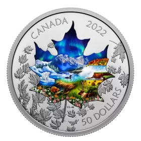 2022 Canadian $50 Canadian Collage - 3 oz Fine Silver Coin