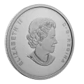 2022 Canadian $50 Canadian Collage - 3 oz Fine Silver Coin