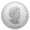2023 Canadian $50 Canadian Collage: Four Seasons - 3 oz Fine Silver Coloured Coin