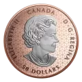2023 Canadian $50 Peace Dollar - 5 oz Fine Silver Rose Gold Plated Coin