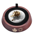 2024 Canada $50 The Goldfinch and the Bloom - 5 oz Fine Silver Coin with Gold Plating