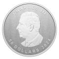 2024 Canadian $50 Ultra High Relief Silver Maple Leaf - 5 oz Proof Coin