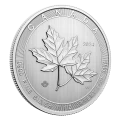 2024 Canada $50 Magnificent Maples 10 oz Fine Silver Bullion Coin *Credit Card*