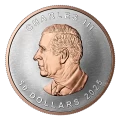 2025 Canada $50 Ultra-High Relief - 5 oz Fine Silver Coin