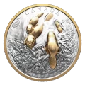 2025 Canada $50 Canadian Symbol: The Beaver - 3 oz Fine Silver Coin