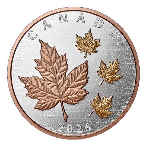 2026 Canada $50 Maple Leaves in Motion - 5 oz Fine Silver Coin with Gold Plating
