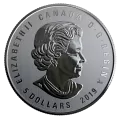2019 Canadian $5 This is Canada! - 1/4 oz Fine Silver Coloured Coin