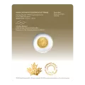 2022 Canadian $5 The Majestic Polar Bear - 1/10 oz Pure Gold Coin (First Strikes)