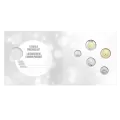 2021 Canadian Wedding Coin Gift Set ft $1 Specially Struck Loonie Dollar
