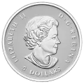 2015 Canadian The Maple Leaf - Fine Silver 5-Coin Fractional Set