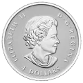 2015 Canadian The Maple Leaf - Fine Silver 5-Coin Fractional Set