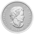 2015 Canadian The Maple Leaf - Fine Silver 5-Coin Fractional Set
