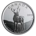 2019 Canadian 50-Cent Canada’s Wildlife Treasures 5-Coin Set