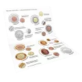 2021 Canadian R&D Test Token Set - Behind the Scenes