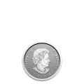 2021 Canadian Fine Silver 5-Coin Fractional Set - Our Arboreal Emblem: The Maple Tree