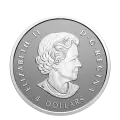 2021 Canadian Fine Silver 5-Coin Fractional Set - Our Arboreal Emblem: The Maple Tree