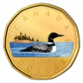 2020 Canadian Colourised Circulation Collection - Fine Silver 6-Coin Set with Medallion