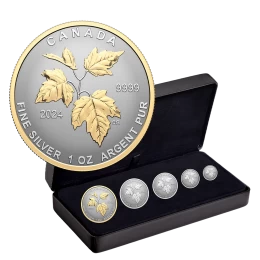 2024 Canadian Fine Silver 5-Coin Fractional Set - Canada's Autumn Beauty