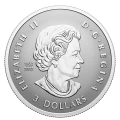 2024 Canadian Fine Silver 5-Coin Fractional Set - Canada's Autumn Beauty