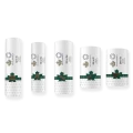 2023 Canadian King Charles III First Strikes Special Wrap Coin Roll Collection