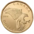 2014 Canadian Specimen 6-Coin Collector Set ft $1 Ferruginous Hawk Loonie Dollar - case not 100%