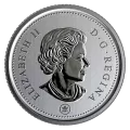 2019 Canadian Specimen 6-Coin Collector Set ft $1 Pileated Woodpecker Loonie Dollar - box and case aren't perfect