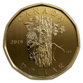 2019 Canadian Specimen 6-Coin Collector Set ft $1 Pileated Woodpecker Loonie Dollar - box and case aren't perfect