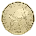 2021 Canadian Specimen 6-Coin Collector Set ft $1 Blanding's Turtle Loonie Dollar