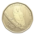 2026 Canada 6-Coin Specimen Collector Set ft $1 Barn Owl Loonie Dollar