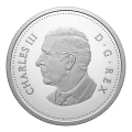 2024 (1924-) Canada $1 The Royal Canadian Air Force 100th Anniversary Proof Silver Dollar Coin